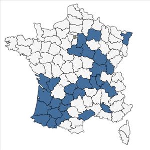 Répartition de Populus deltoides Bartram ex Marshall en France