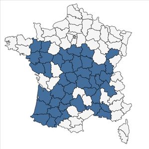 Répartition de Lindernia dubia (L.) Pennell en France