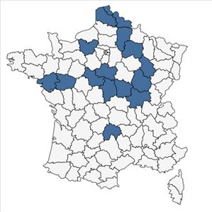 Répartition de Salix x mollissima Ehrh. ex Elwert en France