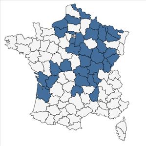 Répartition de Salix x rubra Huds. en France