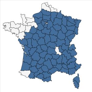 Répartition de Linum tenuifolium L. en France