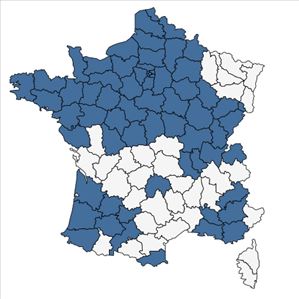 Répartition de Sonchus arvensis L. subsp. arvensis en France