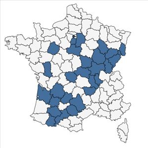 Répartition de Viola arvensis Murray var. arvensis en France