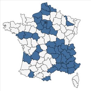 Répartition de Artemisia annua L. en France