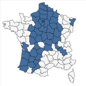 Répartition de Lonicera periclymenum L. subsp. periclymenum en France