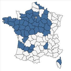 Répartition de Melittis melissophyllum L. subsp. melissophyllum en France