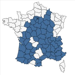 Répartition de Senecio vulgaris L. subsp. vulgaris en France