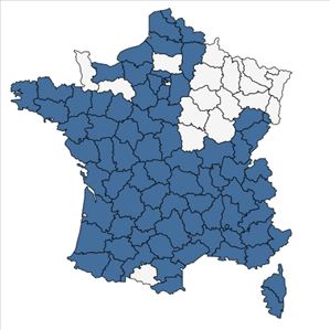 Répartition de Torilis arvensis (Huds.) Link subsp. arvensis en France