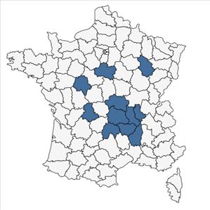 Répartition de Amaranthus hybridus subsp. hybridus var. erythrostachys Moq. en France