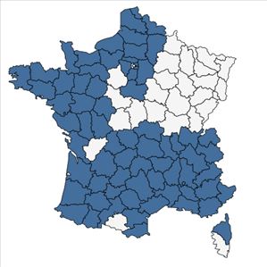 Répartition de Erodium cicutarium (L.) L'Hér. subsp. cicutarium en France