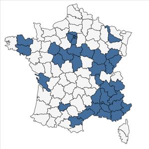 Répartition de Fallopia baldschuanica (Regel) Holub en France