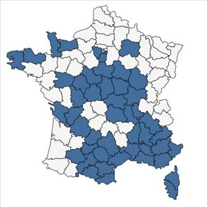 Répartition de Anchusa italica Retz. en France