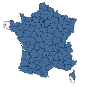 Répartition de Potentilla neglecta Baumg. en France