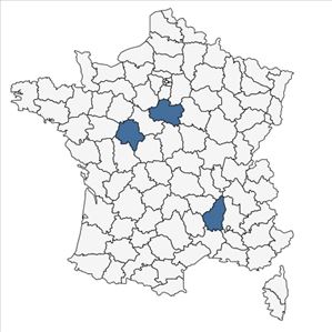 Répartition de Scorzonera hispanica L. subsp. hispanica en France