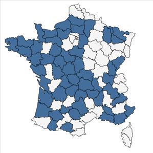 Répartition de Serratula tinctoria L. subsp. tinctoria en France