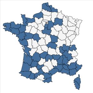Répartition de Lonicera japonica Thunb. en France