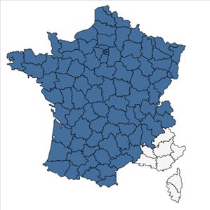 Répartition de Lonicera periclymenum L. en France