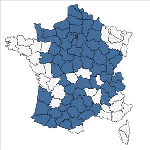 Répartition de Primula elatior (L.) Hill subsp. elatior en France