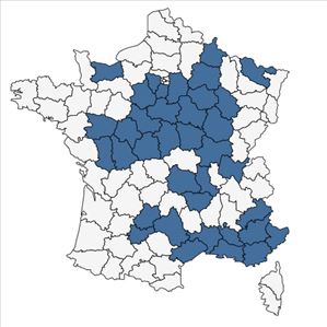 Répartition de Delphinium consolida L. subsp. consolida en France