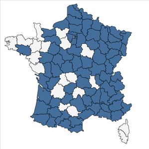 Répartition de Lotus maritimus L. en France