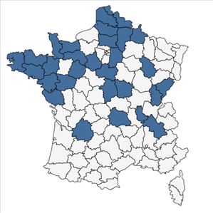 Répartition de Geranium x oxonianum Yeo en France