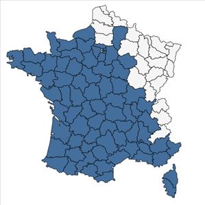 Répartition de Andryala integrifolia L. en France