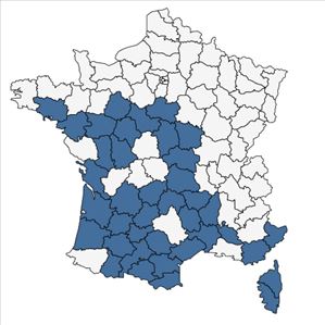 Répartition de Lupinus angustifolius L. en France