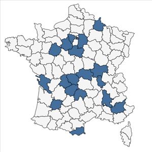 Répartition de Oxalis corniculata var. atropurpurea (Van Houtte) P.Fourn. en France