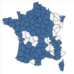 Répartition de Achillea millefolium L. subsp. millefolium en France