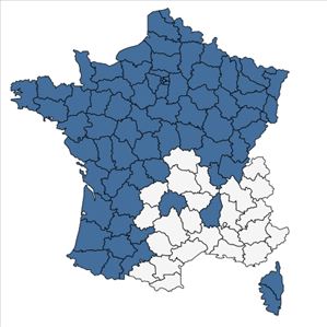 Répartition de Agrimonia eupatoria L. subsp. eupatoria en France