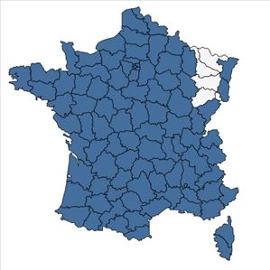 Répartition de Luzula forsteri (Sm.) DC. en France