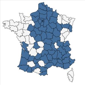 Répartition de Anthriscus sylvestris (L.) Hoffm. subsp. sylvestris en France