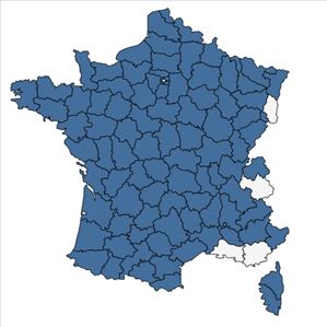 Répartition de Luzula multiflora (Ehrh.) Lej. en France