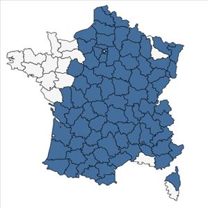 Répartition de Luzula multiflora (Ehrh.) Lej. subsp. multiflora en France