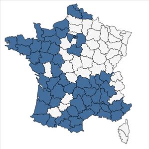 Répartition de Erigeron karvinskianus DC. en France