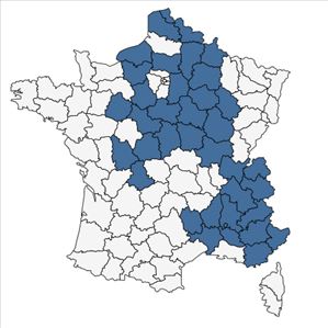 Répartition de Pilosella lactucella (Wallr.) P.D.Sell & C.West subsp. lactucella en France