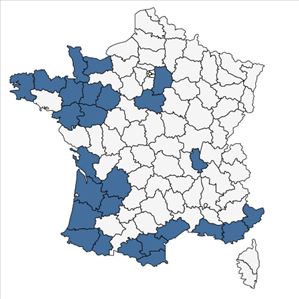 Répartition de Oxalis debilis Kunth en France