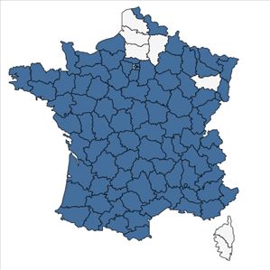 Répartition de Lychnis flos-cuculi L. en France