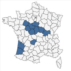 Répartition de Sesamoides purpurascens (L.) G.López subsp. purpurascens en France