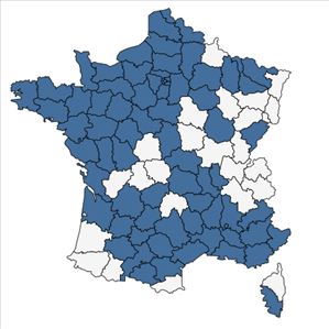 Répartition de Lycium barbarum L. en France