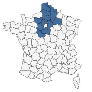 Répartition de Artemisia biennis Willd. en France