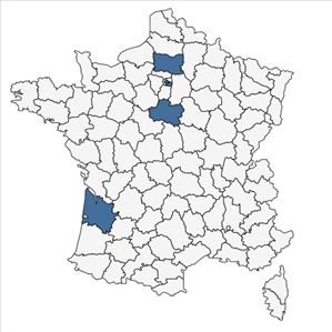 Répartition de Bidens frondosa L. var. frondosa en France