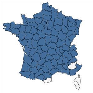 Répartition de Lysimachia nummularia L. en France