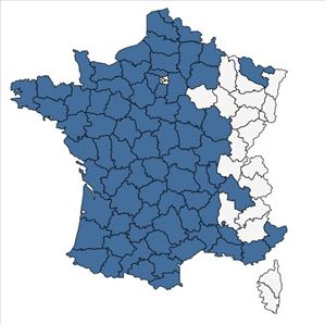 Répartition de Lysimachia tenella L. en France