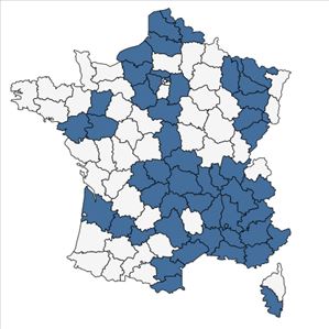 Répartition de Helianthus x laetiflorus Pers. en France