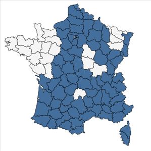 Répartition de Lapsana communis L. subsp. communis en France