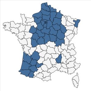 Répartition de Plantago media L. subsp. media en France