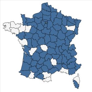 Répartition de Malva alcea L. en France
