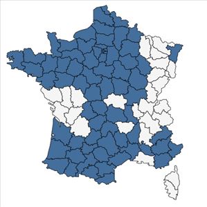 Répartition de Sorbus aucuparia L. subsp. aucuparia en France