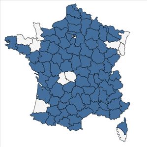 Répartition de Malva setigera Spenn. en France
